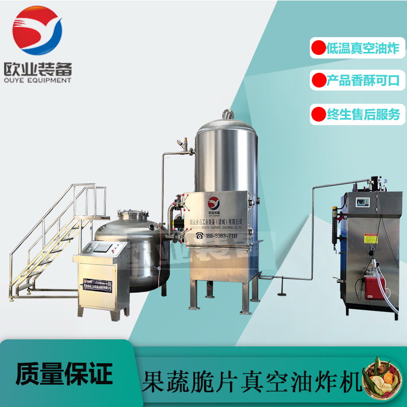 山東全自動低溫油炸機,果蔬脆片油炸機
